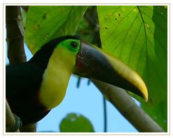 Slider image (10) MedTravel Costa Rica